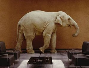 CCTV Elephant in the room